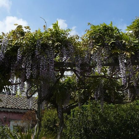 B&B Velardi Viagrande Luaran gambar