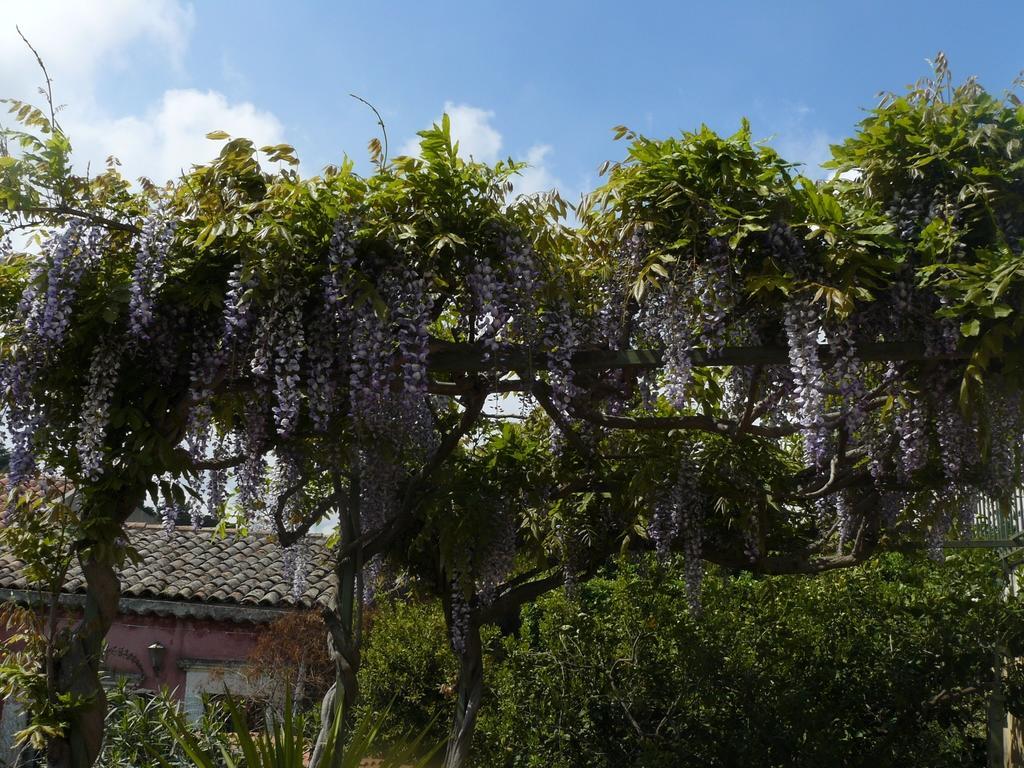 B&B Velardi Viagrande Luaran gambar